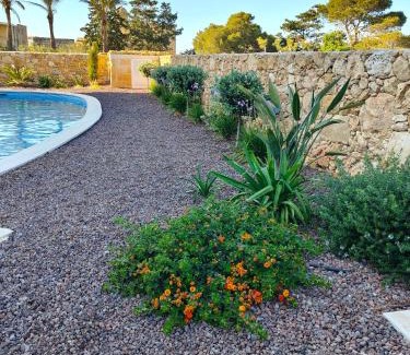 Sannat Apartment | Infinity view residence