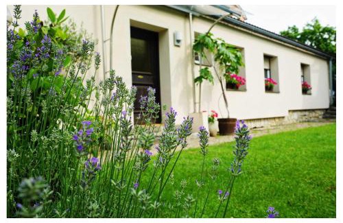 Spittal an der Drau Apartment | Ingrid’s Guesthouse Spittal