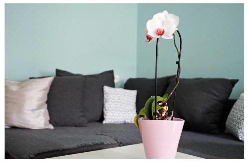 Spittal an der Drau Apartment | Ingrid’s Guesthouse Spittal