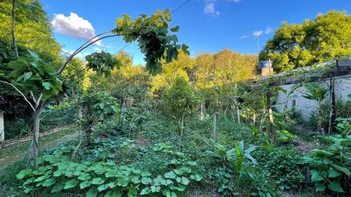 Parque Eldorado 1 Cabin | Instituto Bugio Ruivo