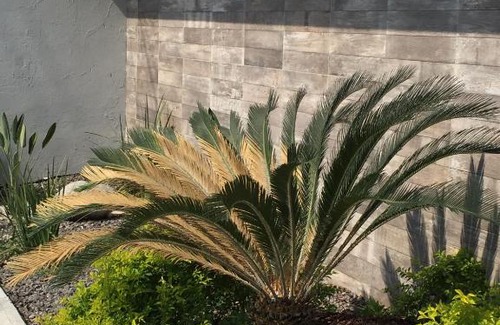 Veracruz Hotel | Intimisimo Autohotel Adults Only Ciudad Industrial