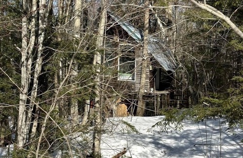 Dorchester RV Rental | Into the Woods: Discover Our Charming Rustic Treehouse in Dorchester, NH