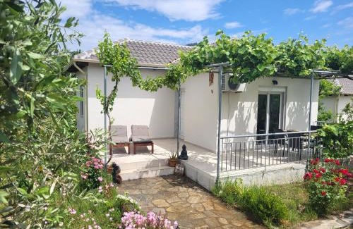 Skala Potamias House | Ioannis Houses - gemütliches Ferienhaus im Olivenhain