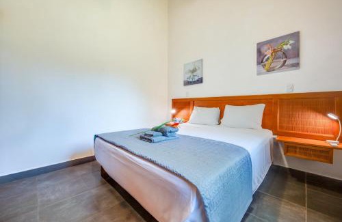 Potrero Apartment | Iris Apartment