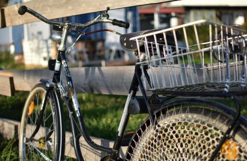 Glott Other | Islandpferdehof Seelengrübchen - Ferien im Bauwagen