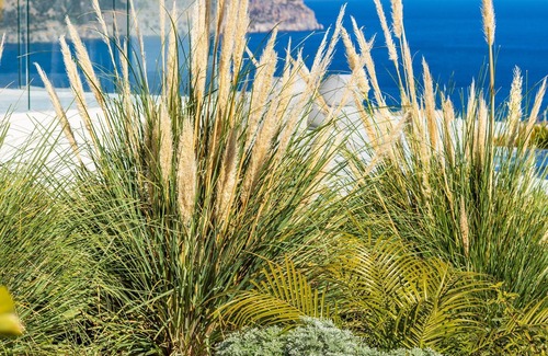 Karpathos Villa | Istia Luxury Villas