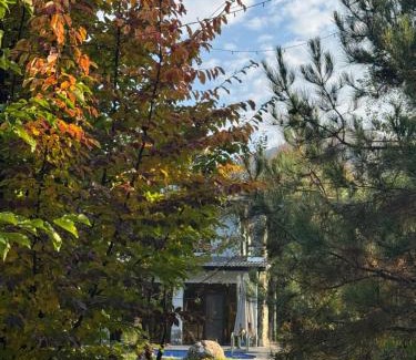 Azerbaijan Ski Chalet | Istisu Valley Spa