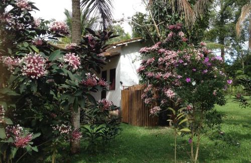 Itacare House | Itacaré EcoRanch Casa