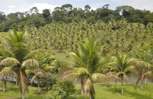 Itacare House | Itacaré EcoRanch Casa
