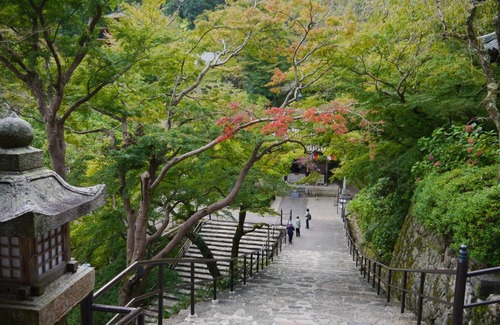 Sakurai Hotel | Itaniya