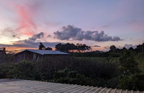 Duc Trong Apartment | Ivy Coffee Farm - Garden House