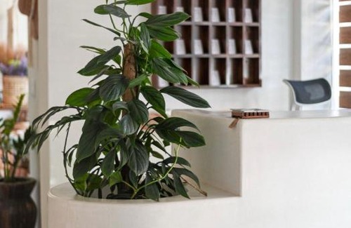 Centro Hotel | Ixic posada boutique