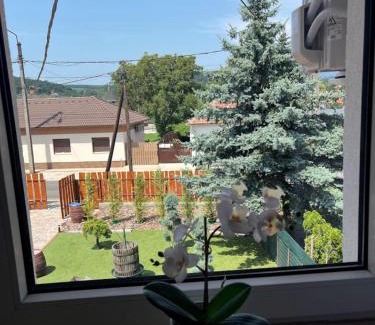 Bogacs Apartment | Izabella Apartman Bogács