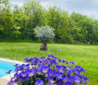 Fuveau Villa | Jacasse Retreat - Elegant Architect Villa Nestled in Provencal Forest