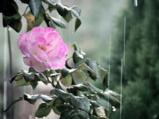 Krondorf House | Jacobs Creek Retreat - Barossa Valley