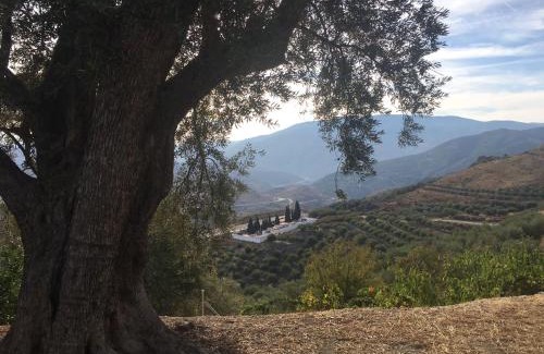 Pinos del Valle Apartment | Jardin Andaluz veleta