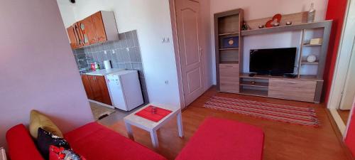 Pirot Apartment | Jednosoban stan centar