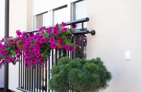 Vrnjacka Banja Apartment | JEDRO - Apartman sa garažnim parkingom