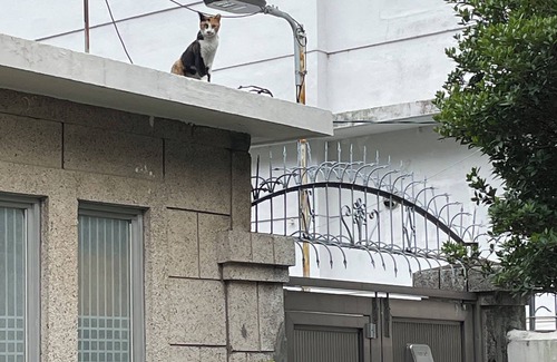 Busanjin House | Jeonpo "Saidek" Analog Traditional House surrounded by local places #Seomyeon