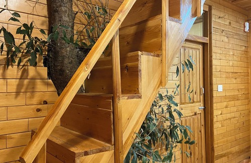 Jibhi Cottage | Jibhi Bliss treehouse Cottage-1