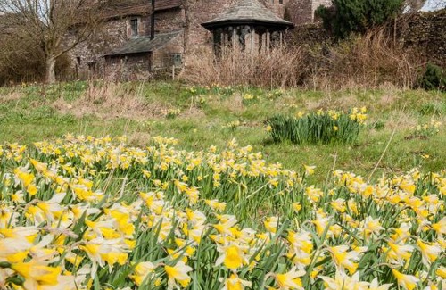 Penrith Bed & Breakfast | Johnby Hall