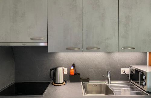 Lavey-Morcles Apartment | Joli Studio près des Bains de Lavey