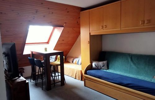 Allos le Seignus Apartment | joli studio vue montagne