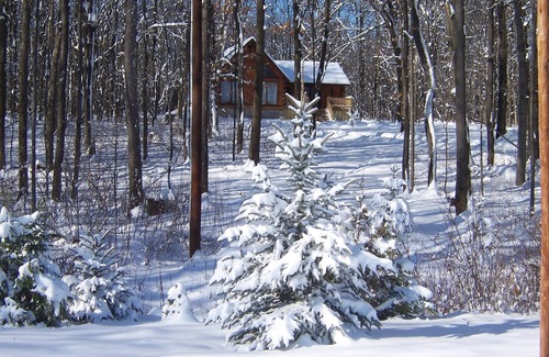 Rockwood Cabin | Jordan's Brook - NO PARTIES ALLOWED, Rate based on # of people