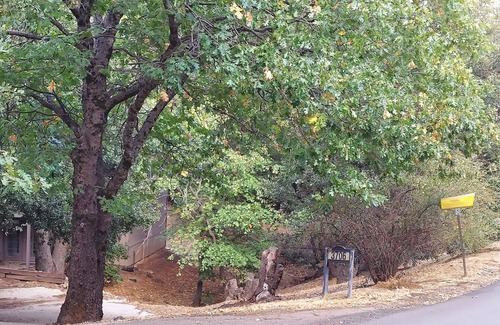 Julian House | Julian House of Games