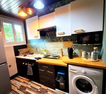 Noyon Apartment | Jungle Chic à Noyon, Hauts-de-France