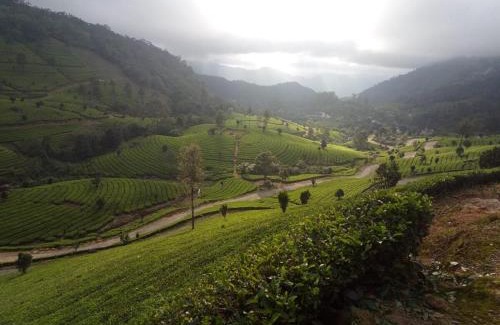 Devikolam House | Jungle View Homestay Anakulam