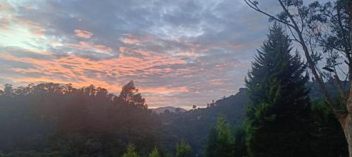 Coonoor House | Jungle view