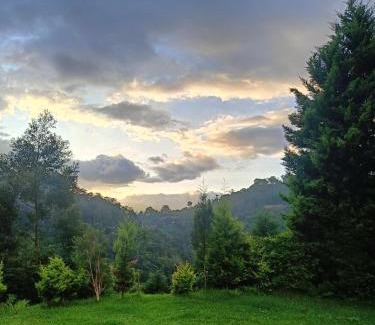 Coonoor House | Jungle view