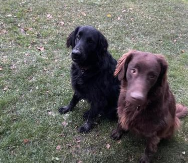 Laimjala House | JUST Lodges