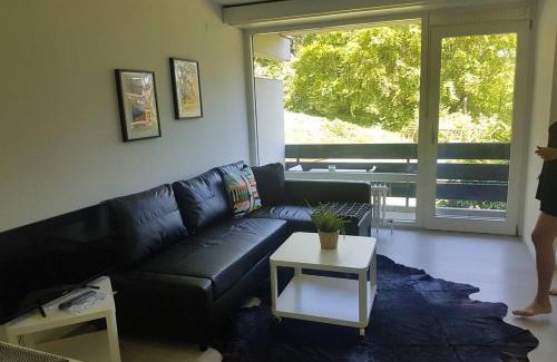 Bad Reichenhall Apartment | Jutta Deluxe Apartment #325
