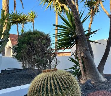 Charco del Palo Apartment | Juwel des Meeres Nudist Place FKK Complejo Nudista - Charco del Palo -