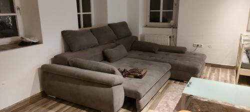 Waldbrunn Apartment | Käfer a