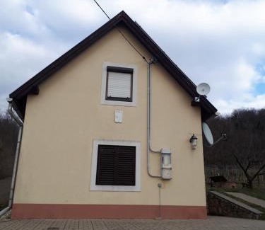 Tapolca Apartment | Kéknefelejcs Vendégház