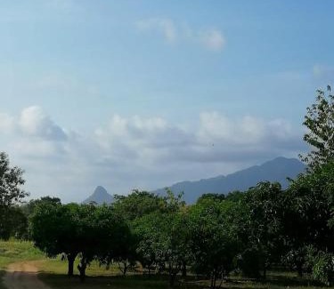 Dambulla Cabin | Kaaya Breeze