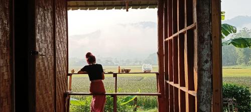 Mueang Pan Other | Kaewma farmstay