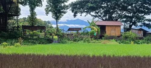 Mueang Pan Other | Kaewma farmstay