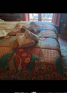 Ano Zakhlorou Apartment | Kalavrita Mood