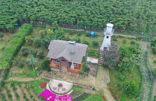 Bao Loc Ski Chalet | kamely hill bảo lộc