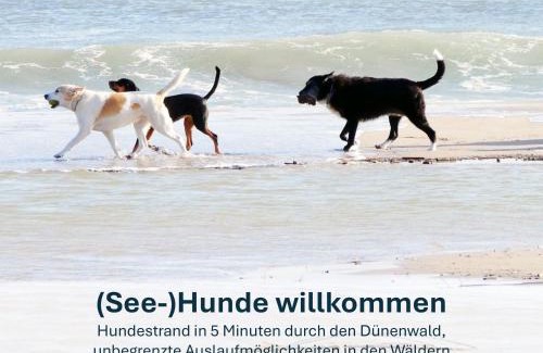 Kamminke Apartment | Kamminke, Hofschaft am Haff