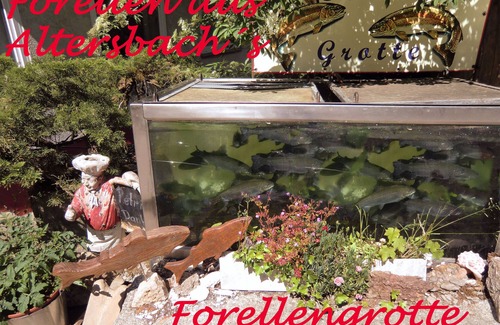 Waldkirch Apartment | Kandelbleibe, 50sqm, 1 bedroom, max. 2 persons