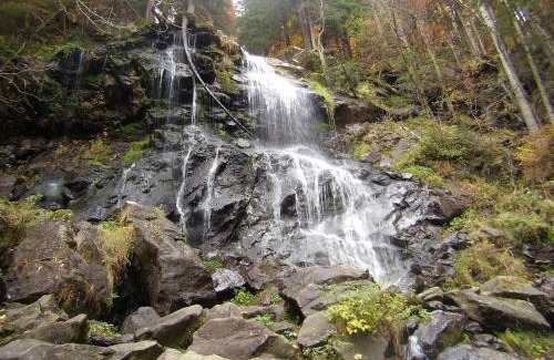 Sankt Peter Apartment | Kapfenmathishof Urlaubsbauernhof