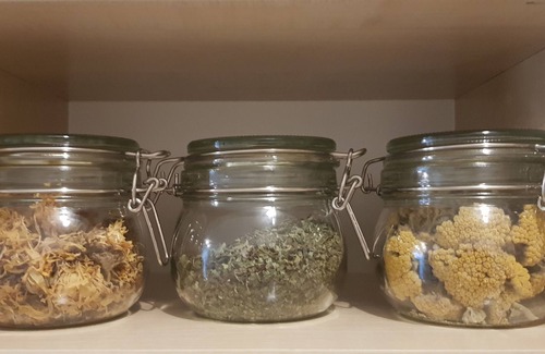 Studentski Grad Apartment | Karastoyanovi's apartment