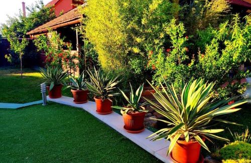 Bekescsaba Apartment | Karolina Apartment