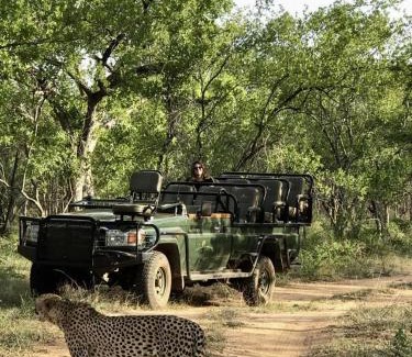 Maruleng Cabin | Karongwe- Shiduli Safari Lodge