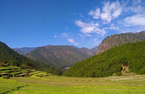 Purola House | Kedarganga Homestay